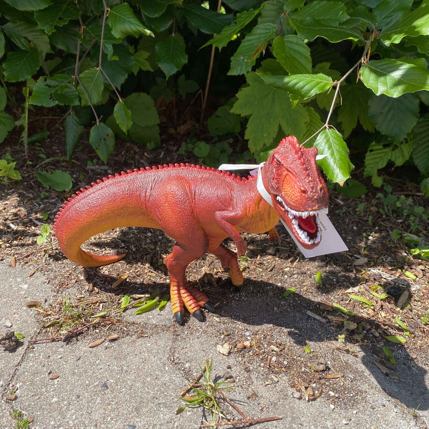 Dino t-rex
