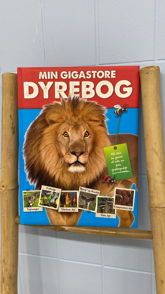 Bog